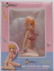 Fate Extella Swimsuit