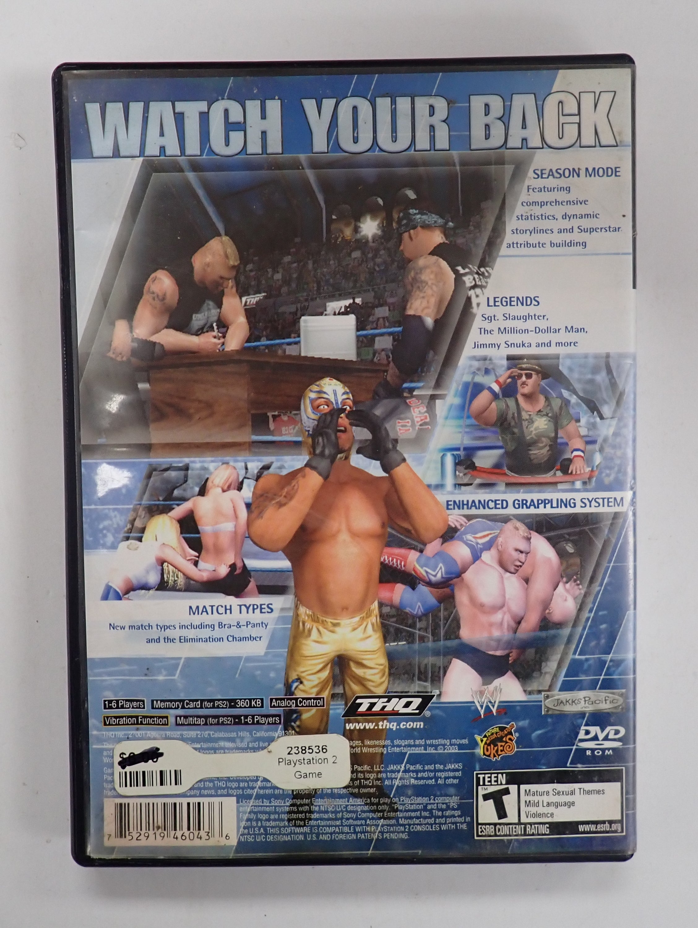 Smack Down! Here Comes the Pain - PS2
