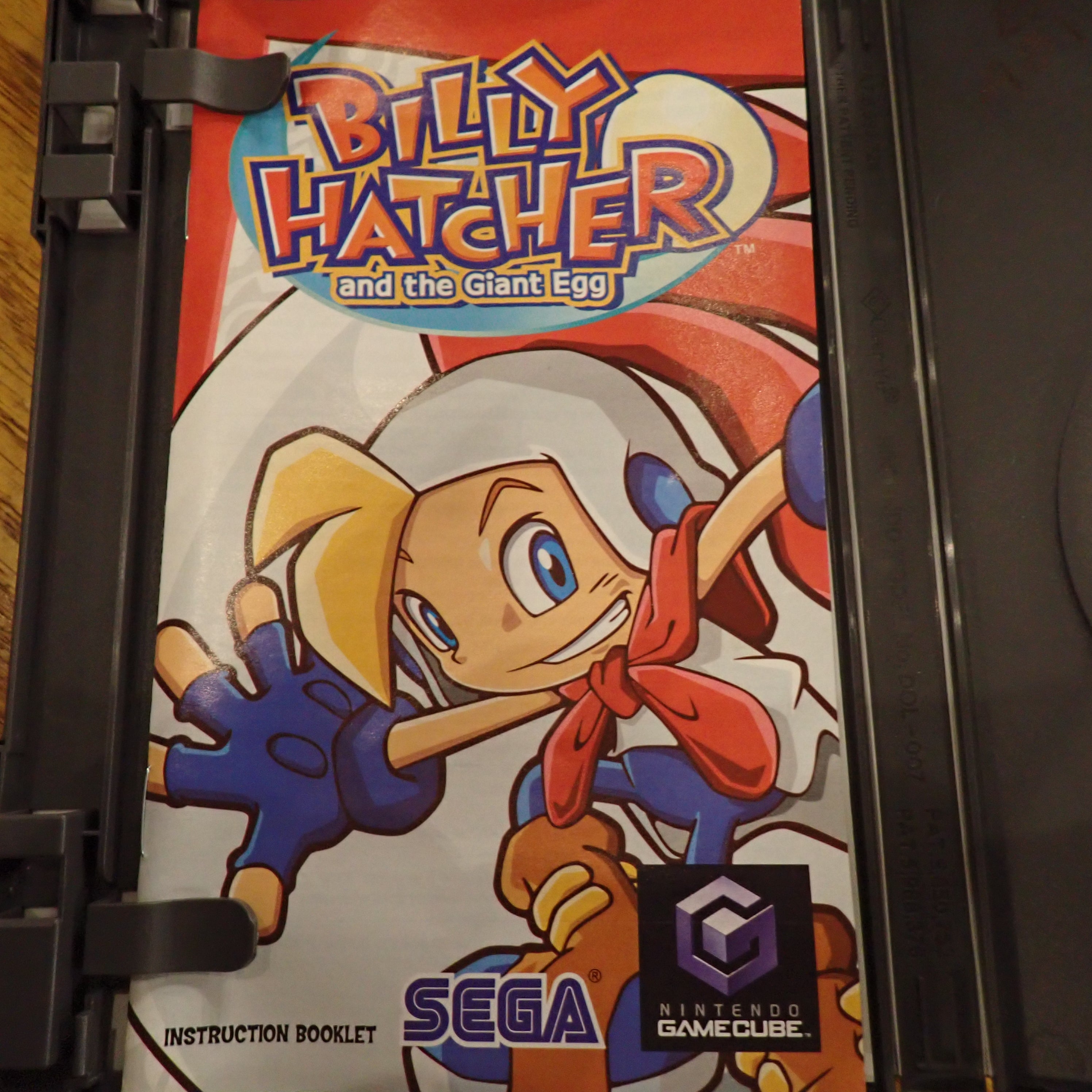 Billy Hatcher and the Giant Egg - Gamecube