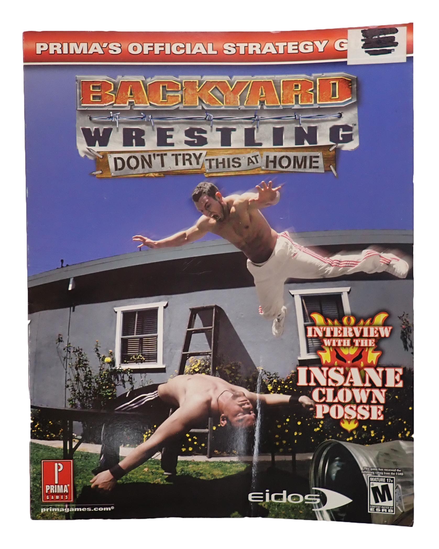 Backyard Wrestling Don't Try this at Home Strategy Guide Book