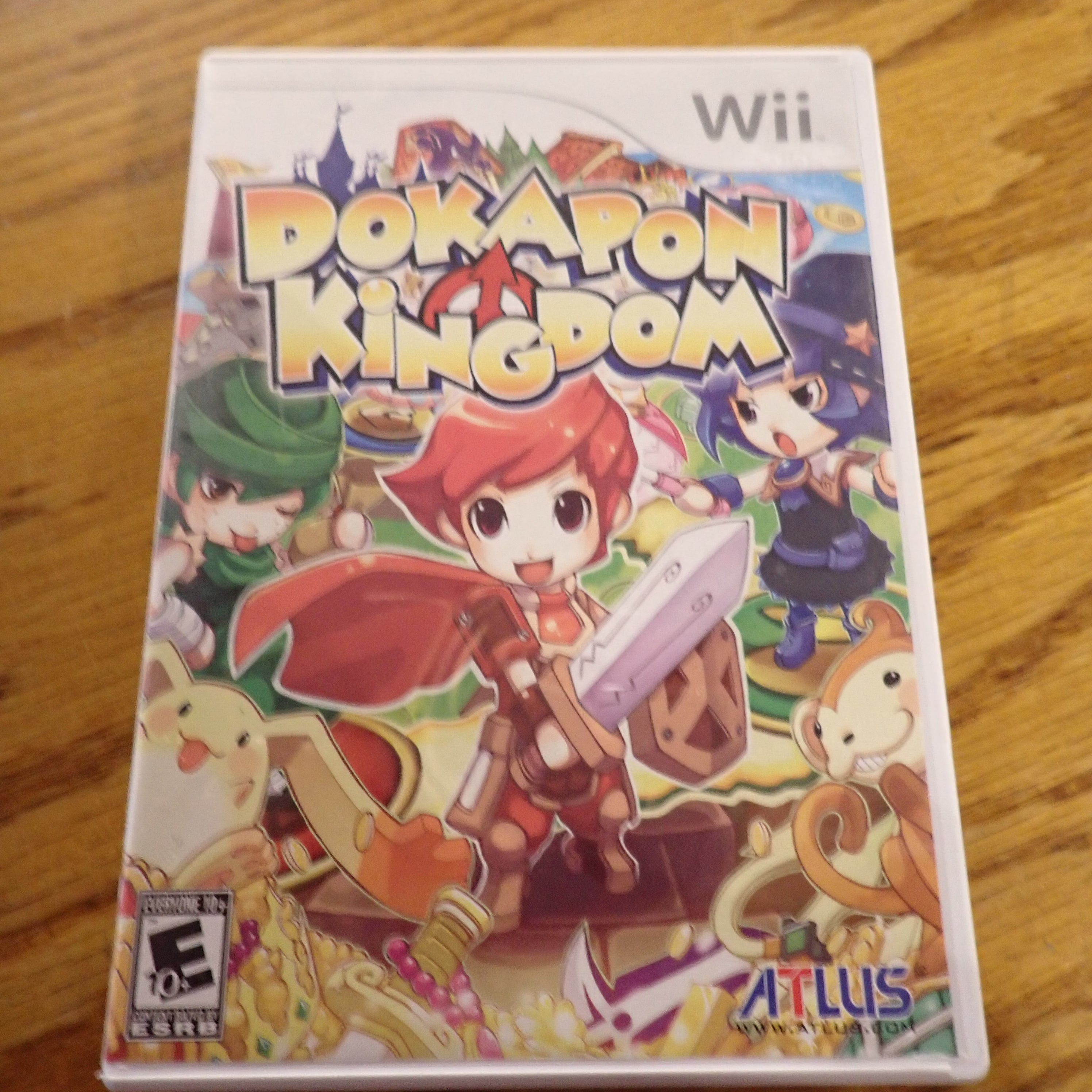 Dokapon Kingdom - Wii