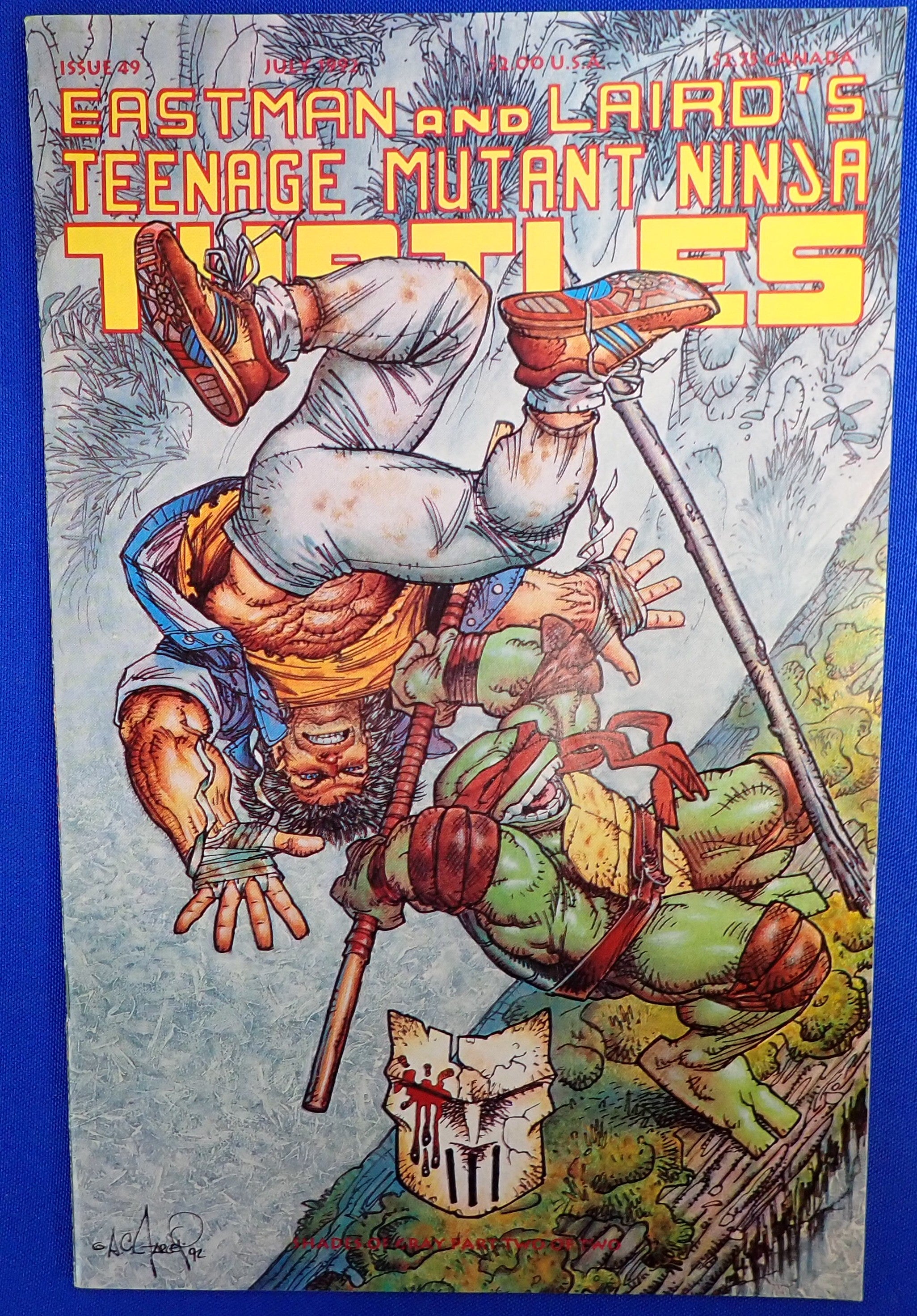 Teenage Mutant Ninja Turtles #49 (1992) - VF+/NM - (8.5/9.0) - A.C. Farley Cover