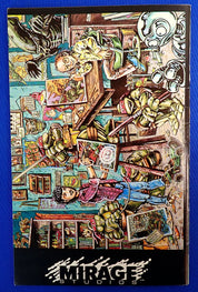 Teenage Mutant Ninja Turtles #15 (1988) - VF/VF+ (8.0/8.5) - Late Publication