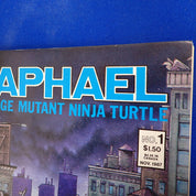 Raphael #1 (1987) - VF+/NM - (8.5-9.0) - 2nd Print & 1st App. Casey Jones