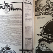 Raphael #1 (1987) - VF+/NM - (8.5-9.0) - 2nd Print & 1st App. Casey Jones