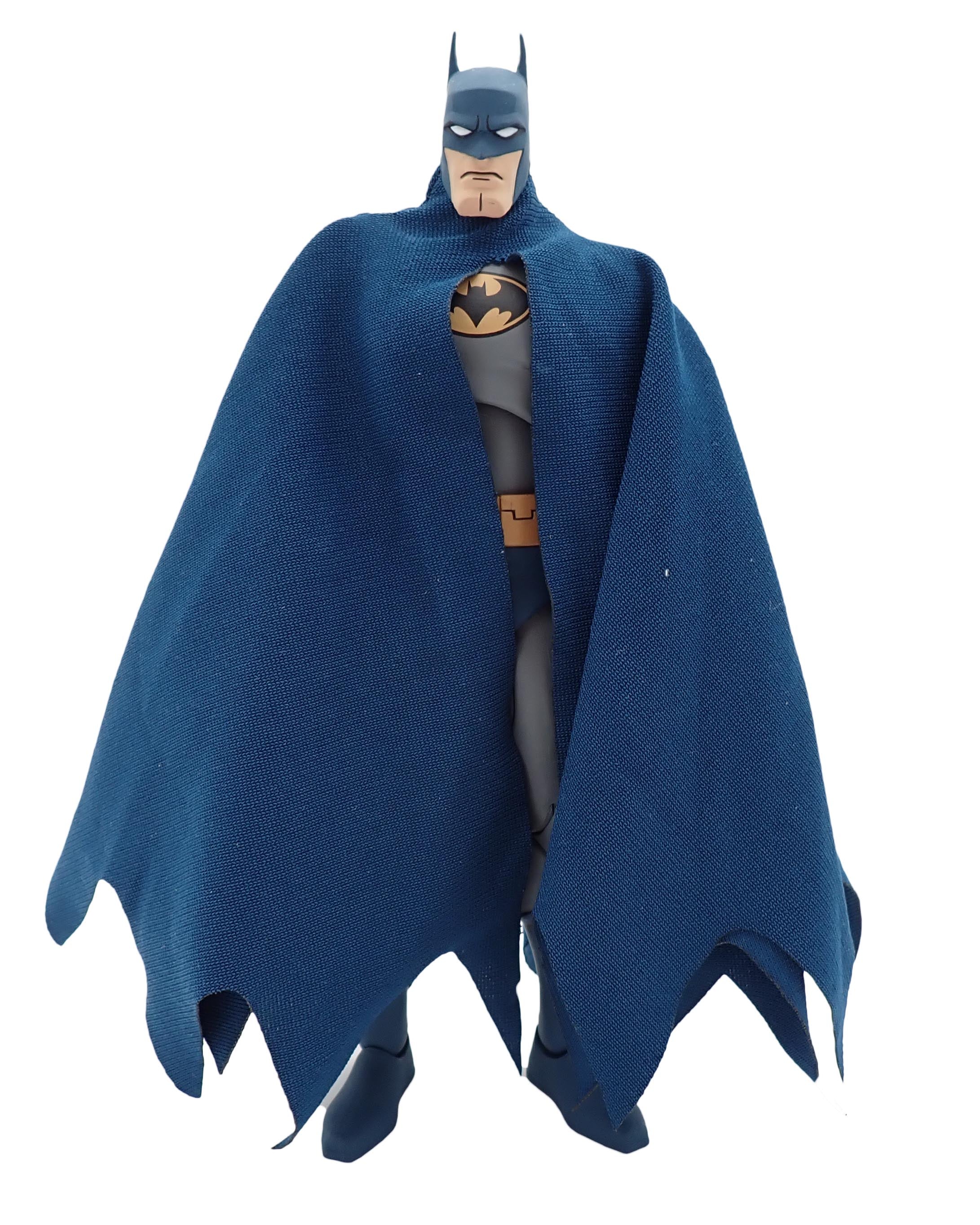 DC Batman VS TMNT Leonardo - DC