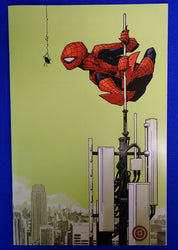 Amazing Spider-Man #123 (2023) - NM+ (9.2+) - 1:500 Chris Bachalo "Virgin" Variant