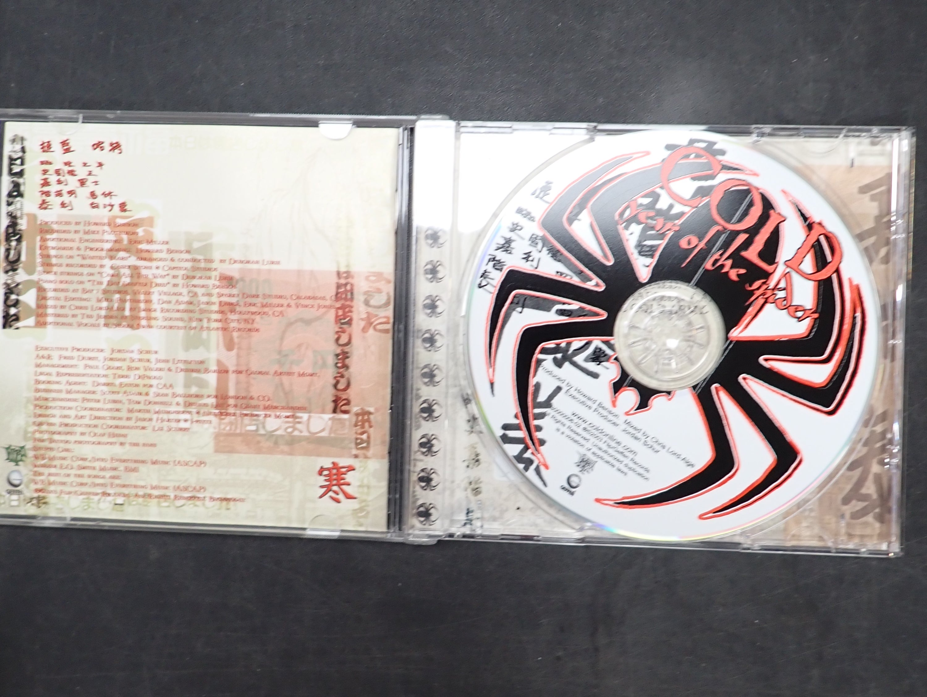 Cold - Year of the Spider CD