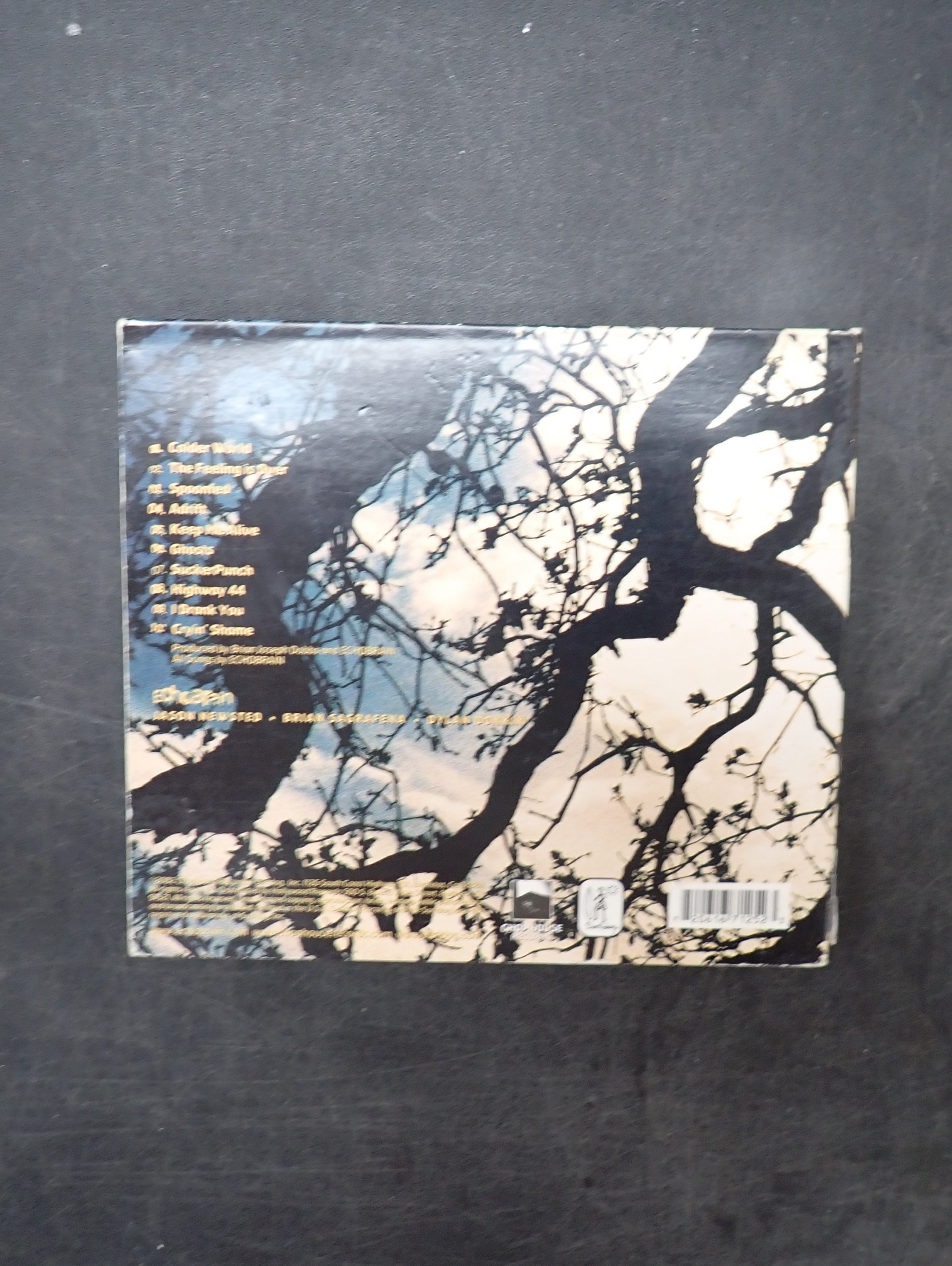 Echo Brain - CD
