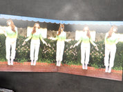 Jenny Lewis - The Voyager CD