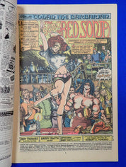 Conan the Barbarian #24 (1973) - VF (8.0)