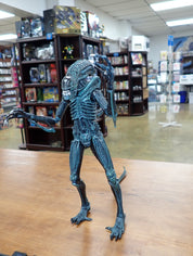 NECA Aliens 2018 Blue Warrior