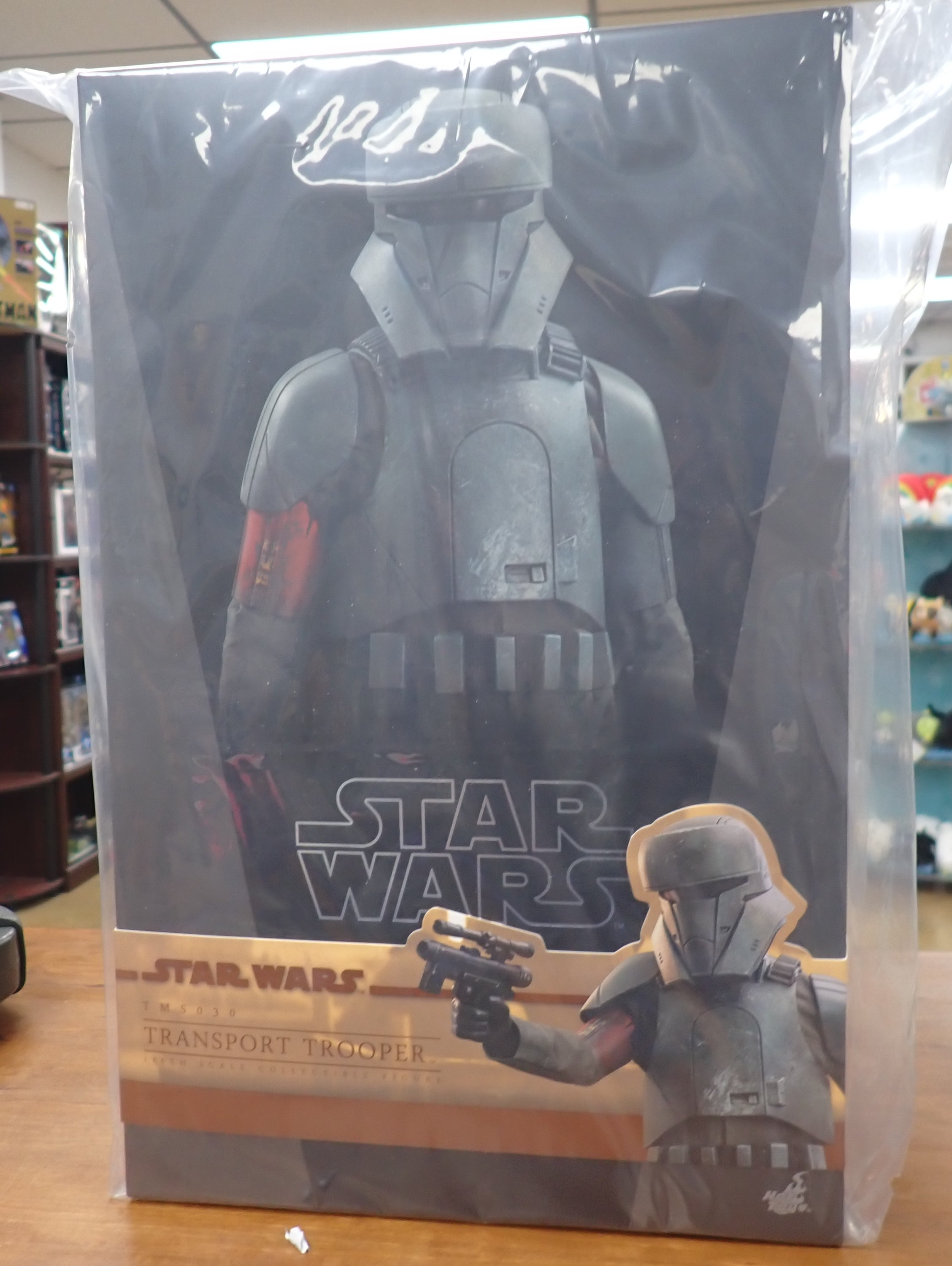 Hot Toys TMS030 Transport Trooper