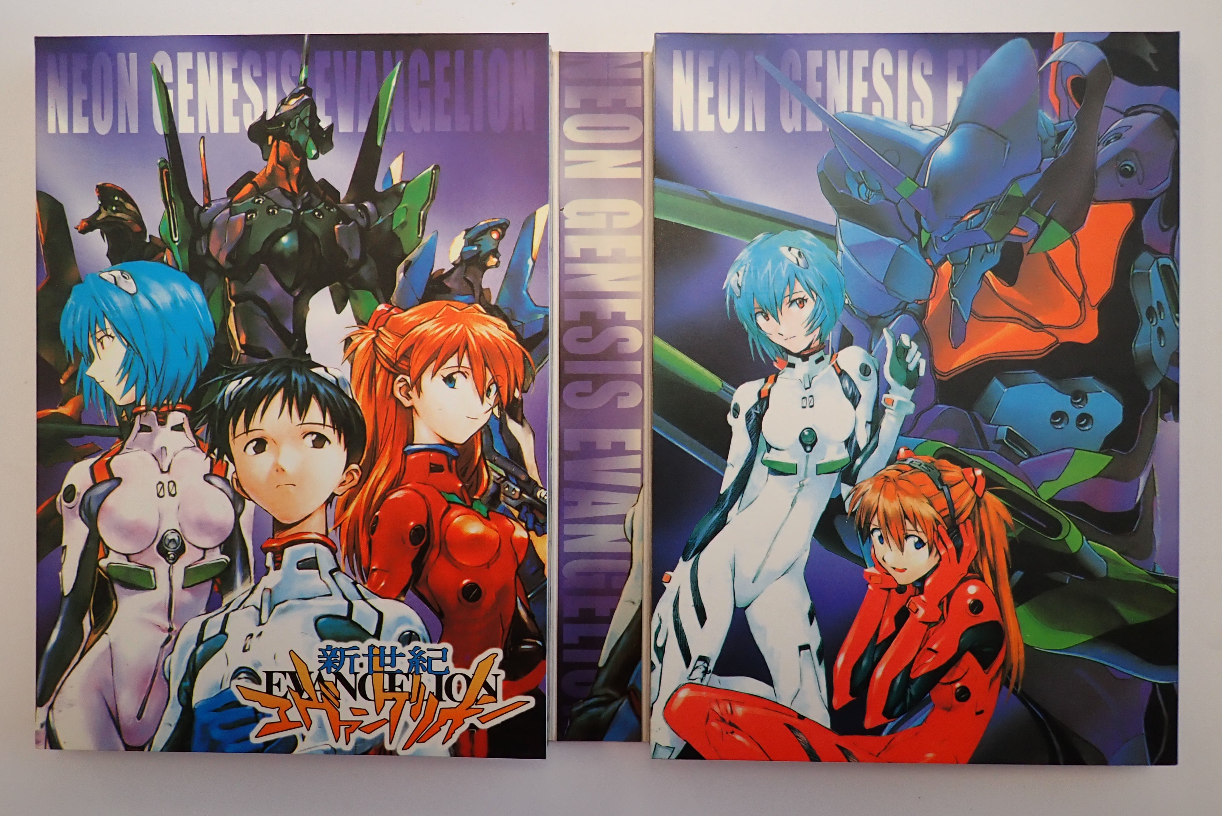 Neon Genesis Evangelion TV series + Movie - DVD – Infinity Flux