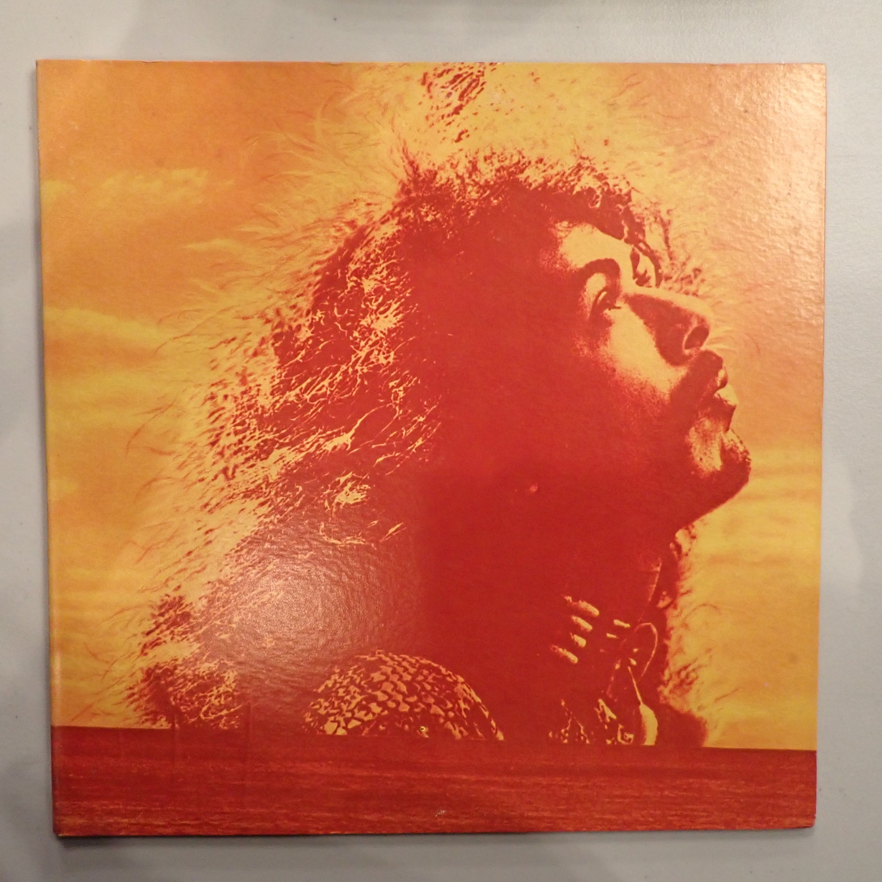 Carlos Santana & Buddy Miles - Carlos Santana & Buddy Miles! Live!