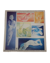 The Boomtown Rats – The Fine Art Of Surfacing - Vinyl