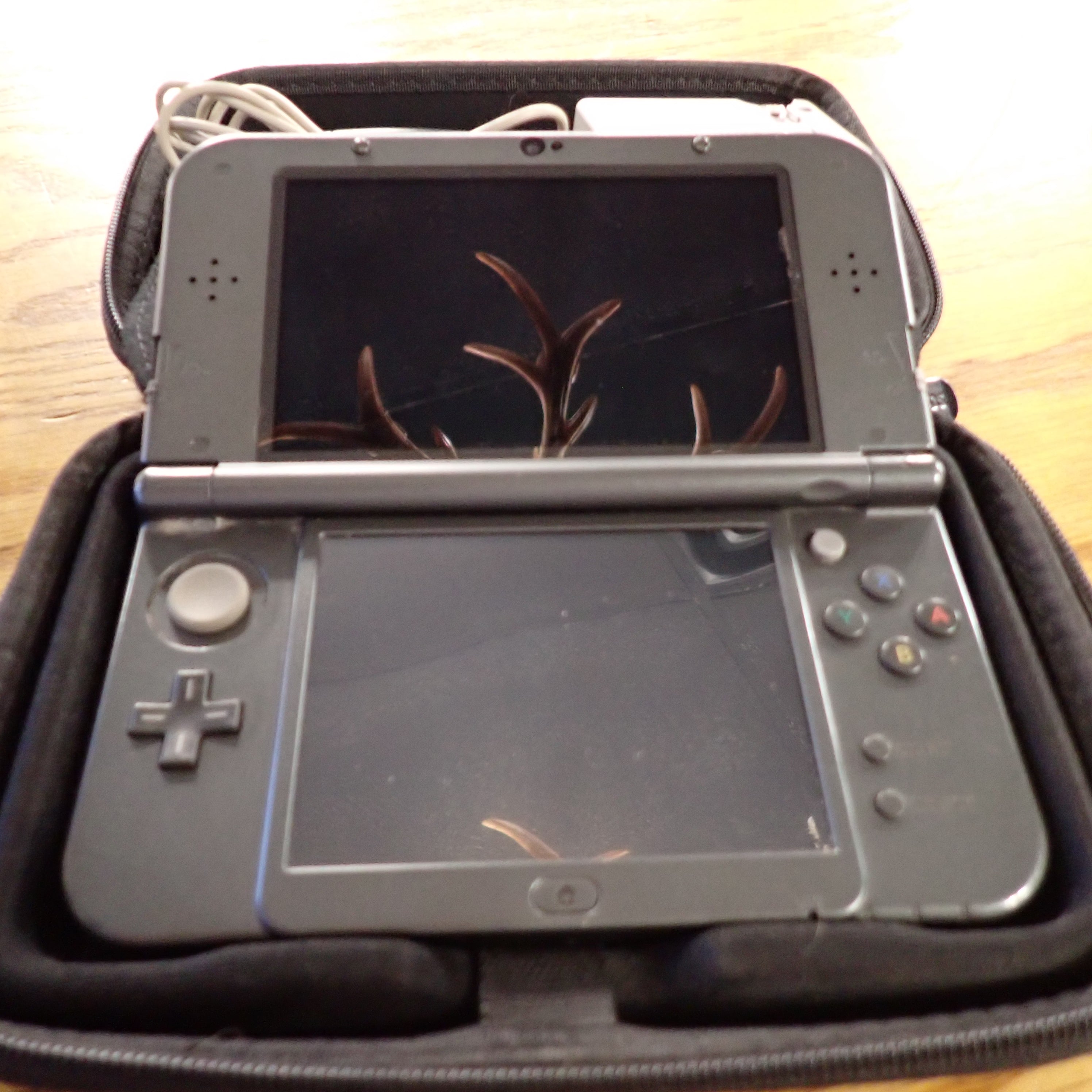 "New" Nintendo 3DS XL