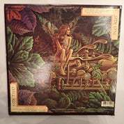 Spyro Gyra - Catching The Sun