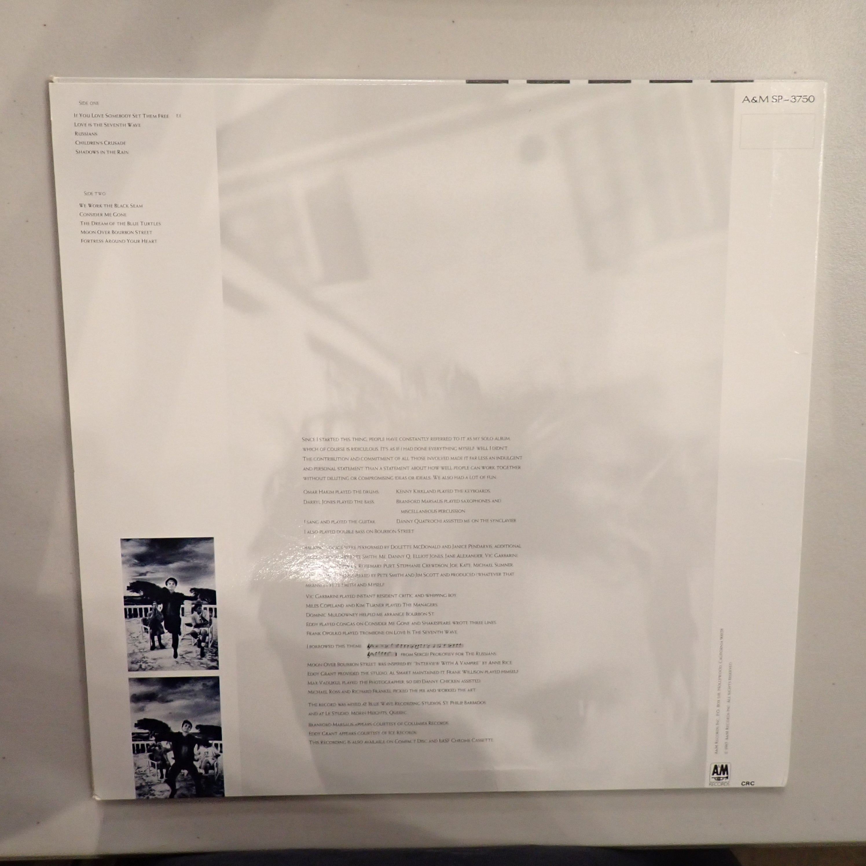 P4101524.jpg