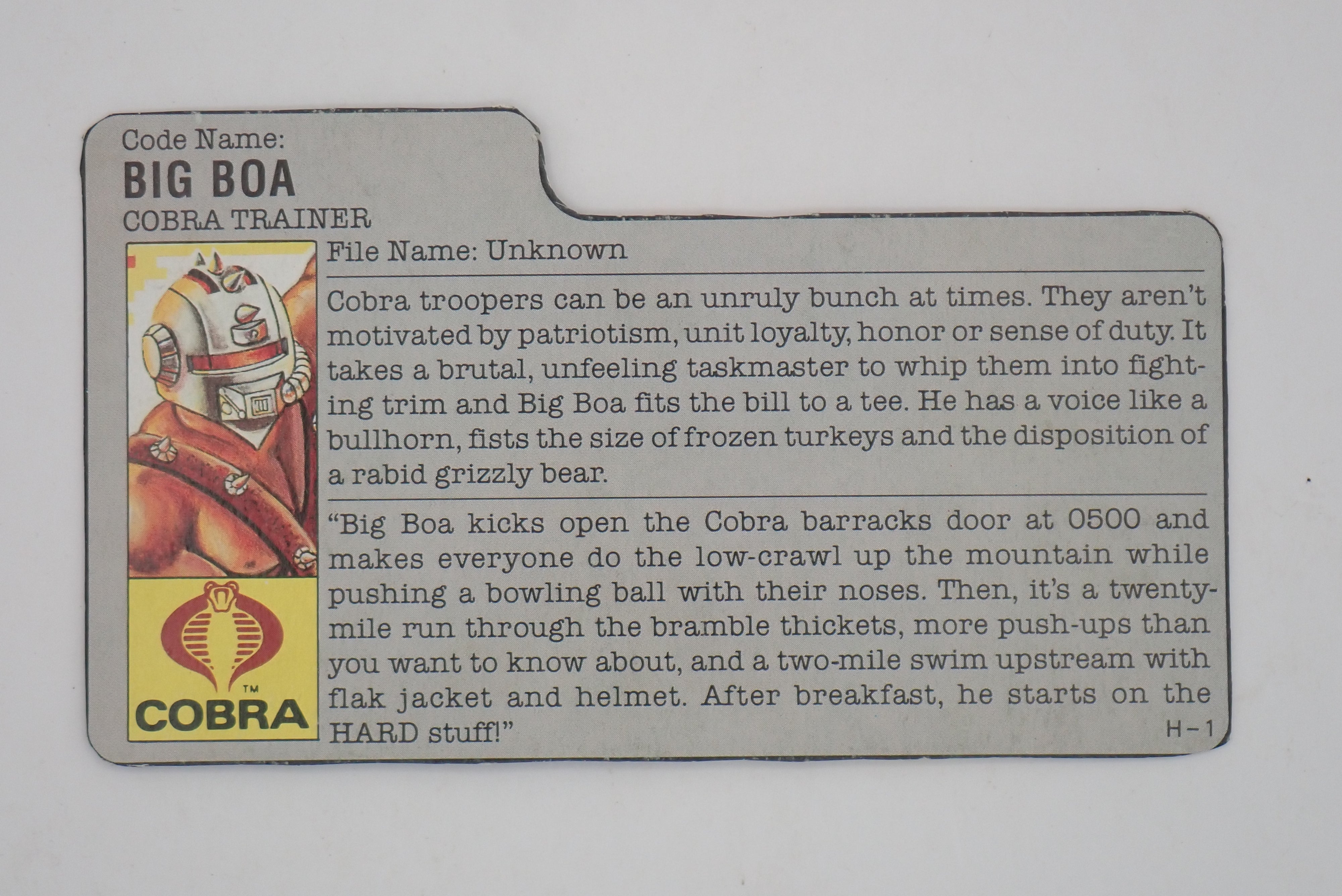 Big Boa (v1) - G.I. Joe [INCOMPLETE]