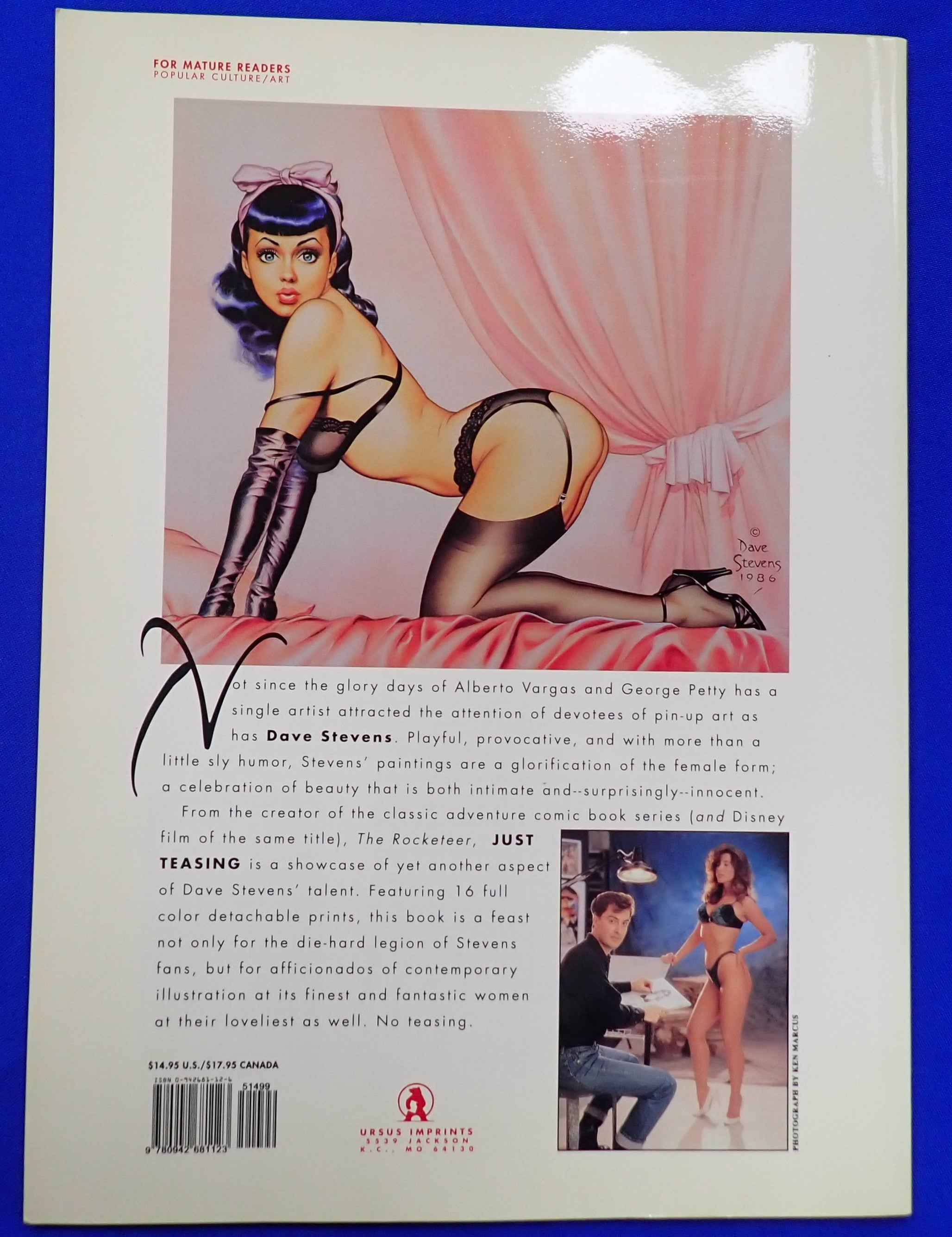 Just Teasing by Dave Stevens - Softcover (Pre-Owned)