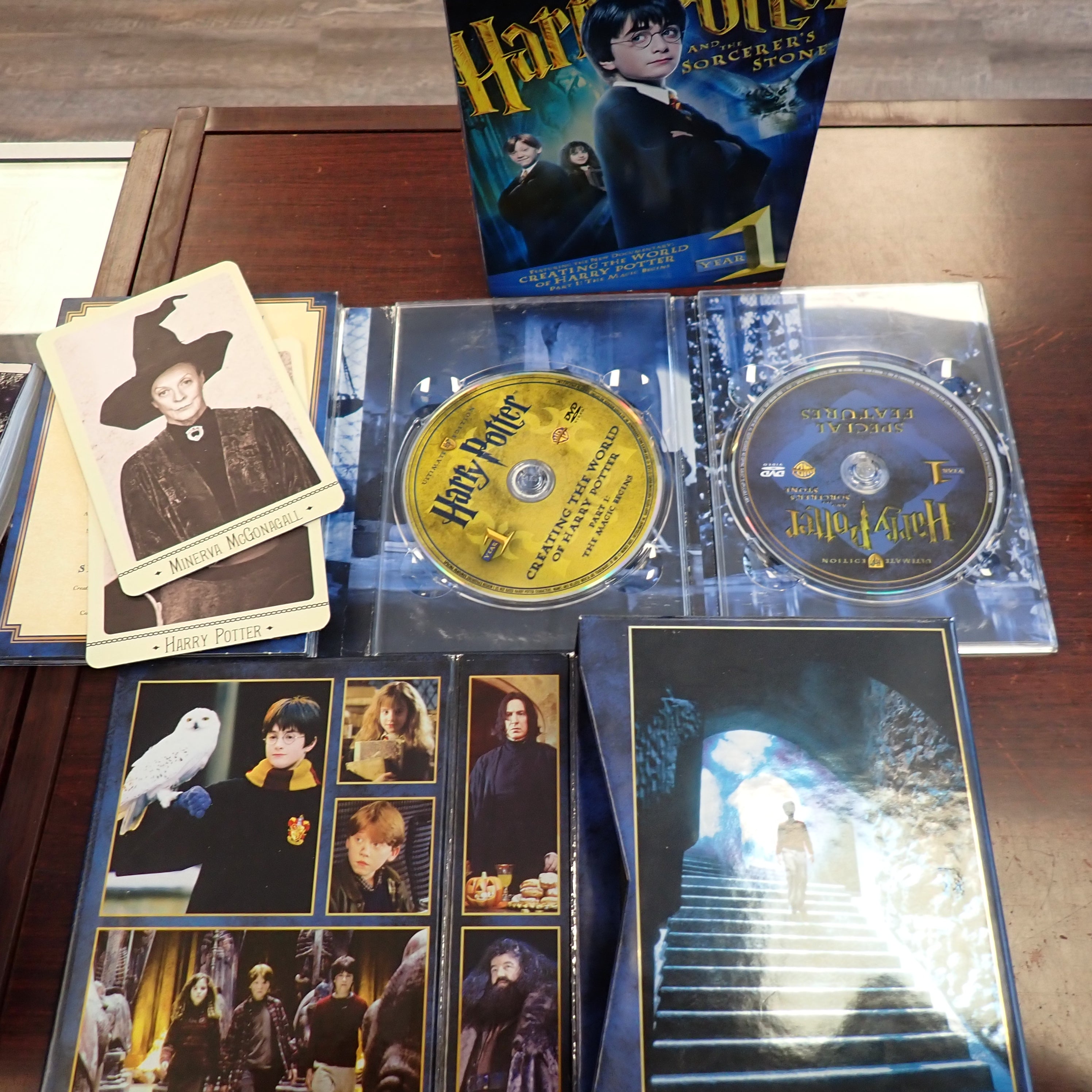 Harry Potter & the Sorcerer's Stone Ultimate HP Edition: Year 1