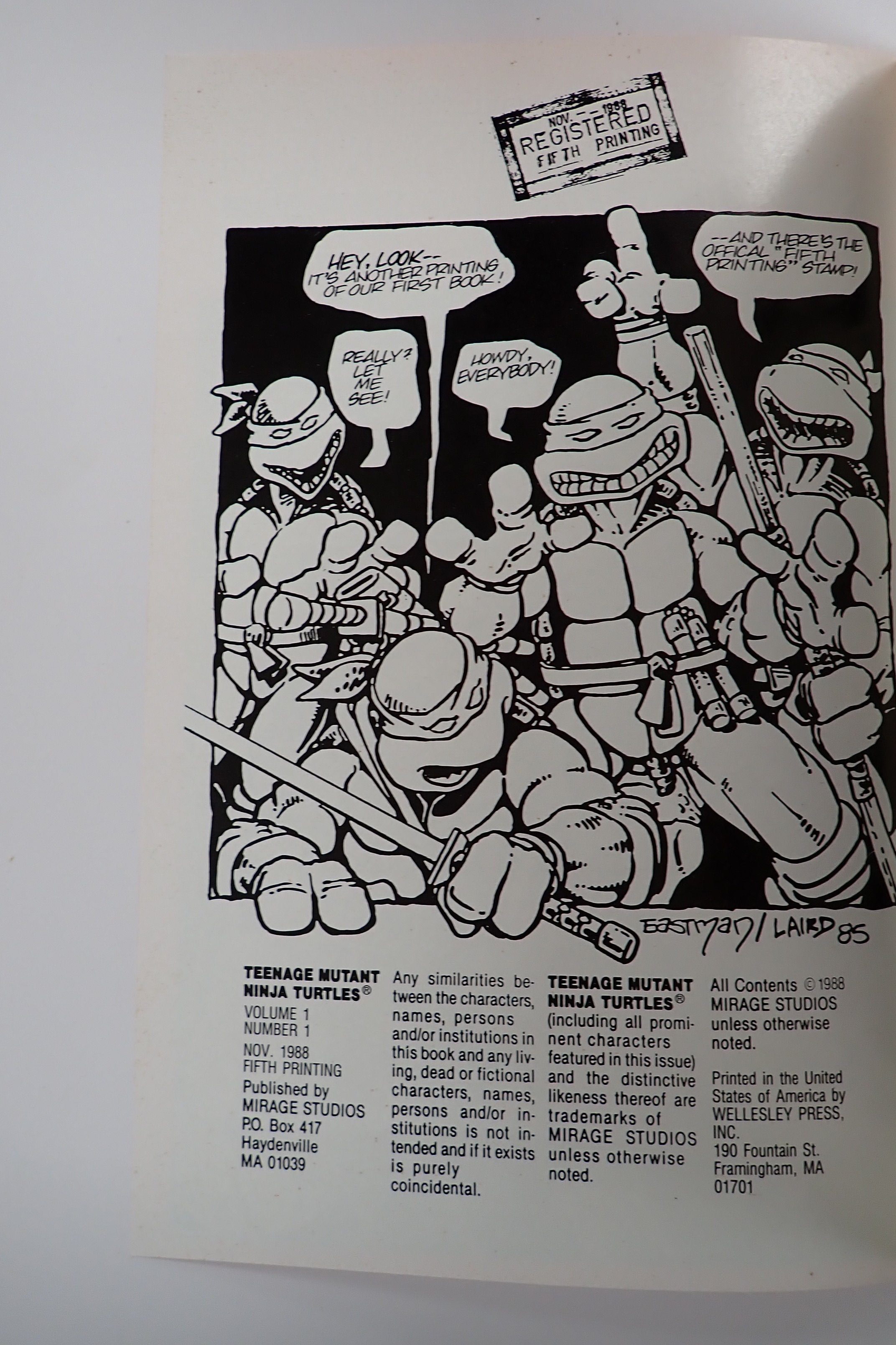 Teenage Mutant Ninja Turtles #1 (1988) - FN/VF (7.0) - 5th Printing