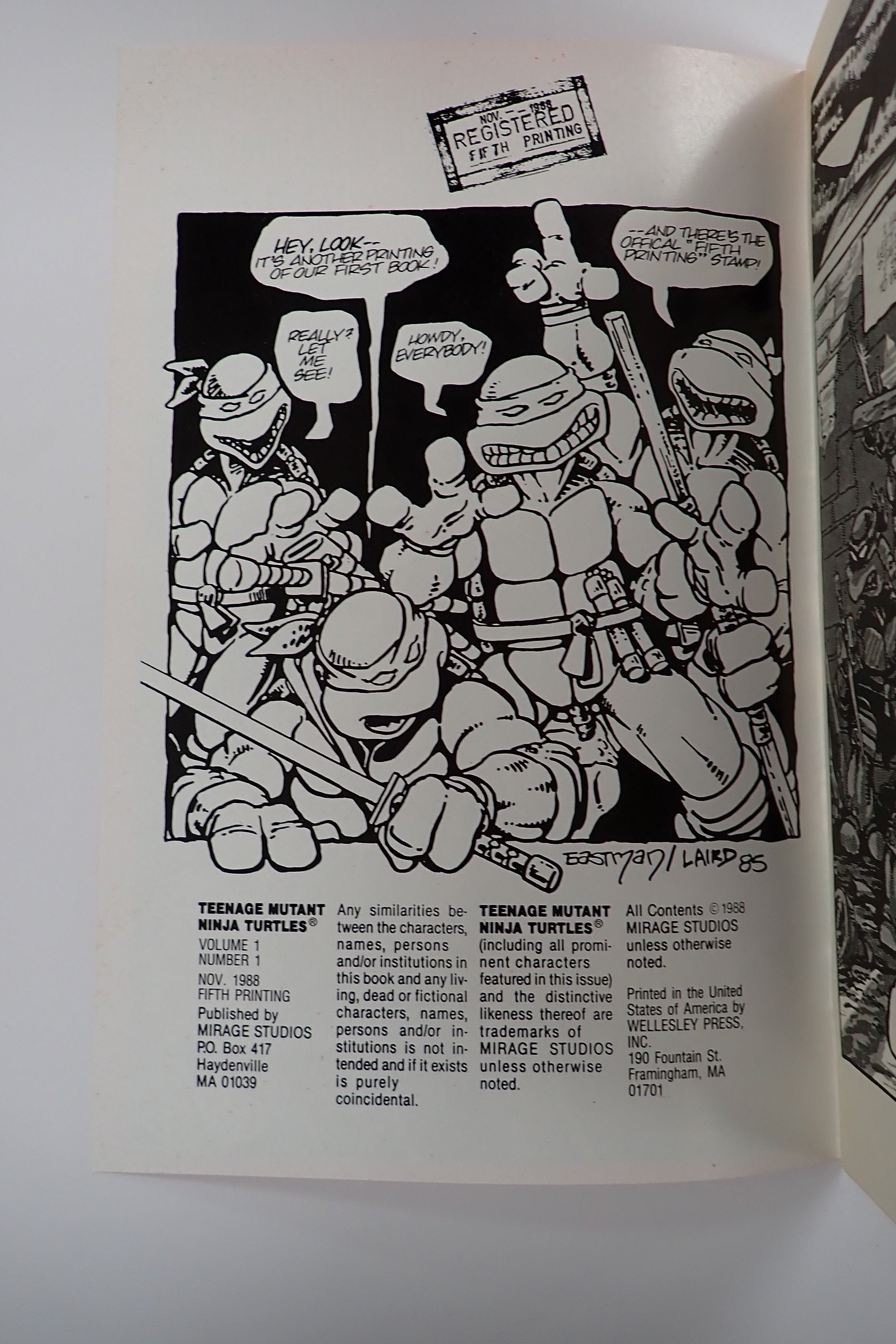 Teenage Mutant Ninja Turtles #1 (1988) - FN/VF (7.0) - 5th Printing