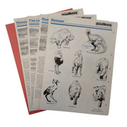Monstrous Compendium Appendix (2104) - AD&D 2e