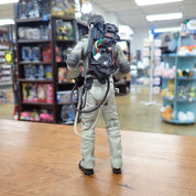 Peter Venkman Ghostbusters 2009
