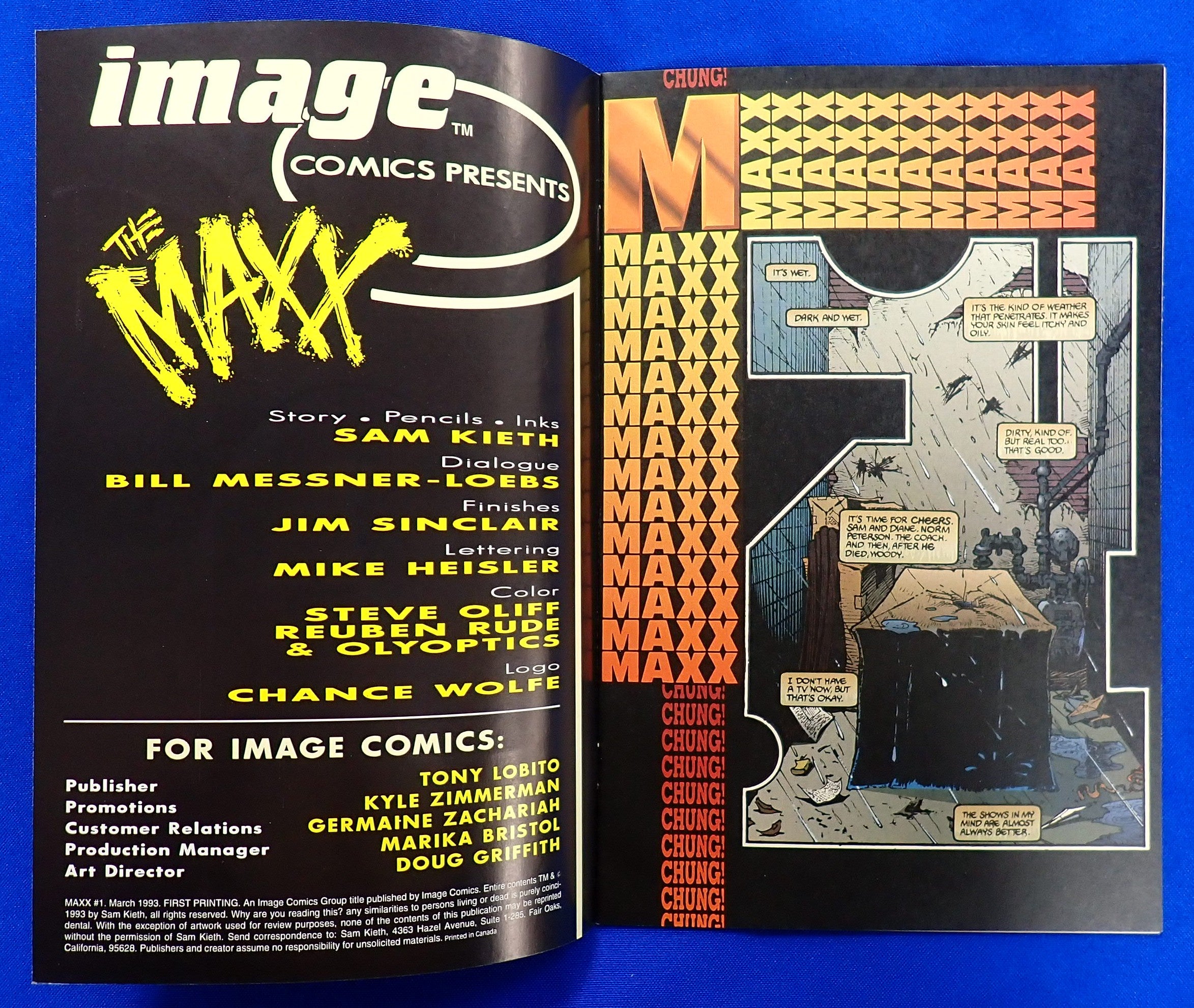 The Maxx #1 (1993) - VF/NM - (9.0+) - 1st App. the Maxx