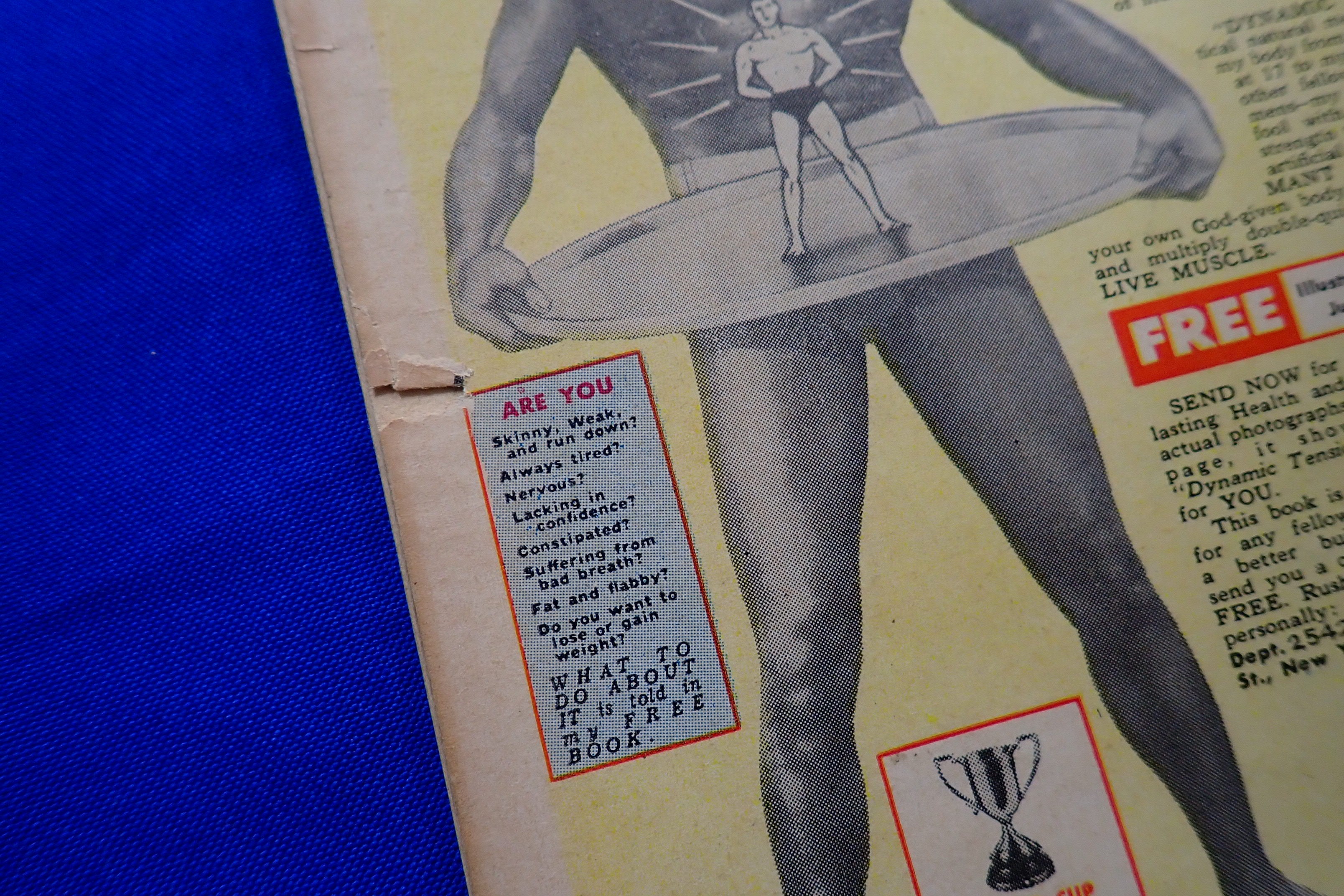 Crime Does Not Pay #121 (1953) - GD/VG - (3.0) - Golden Age Crime Book