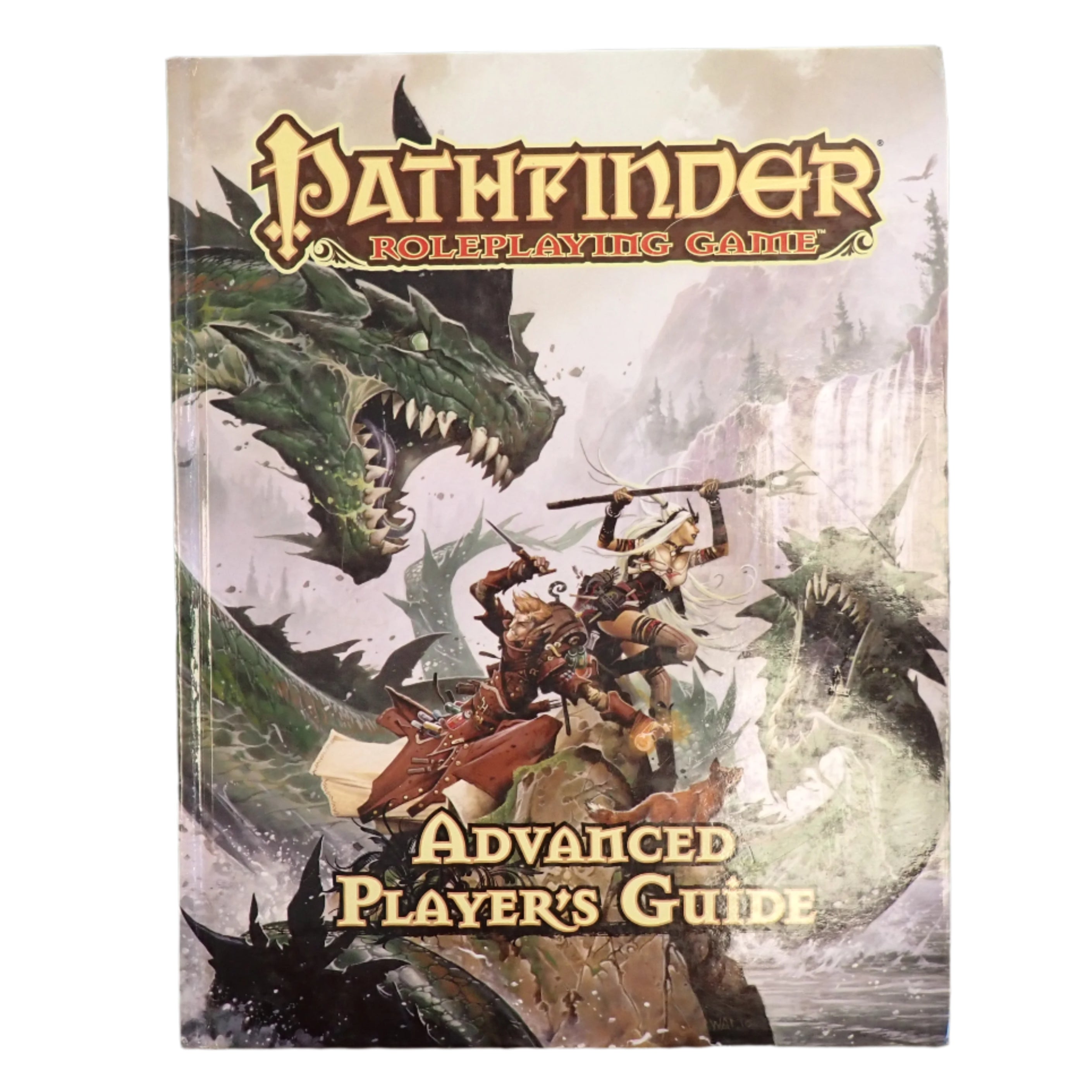 Pathfinder Advanced Player's Guide 3.5e (USED)