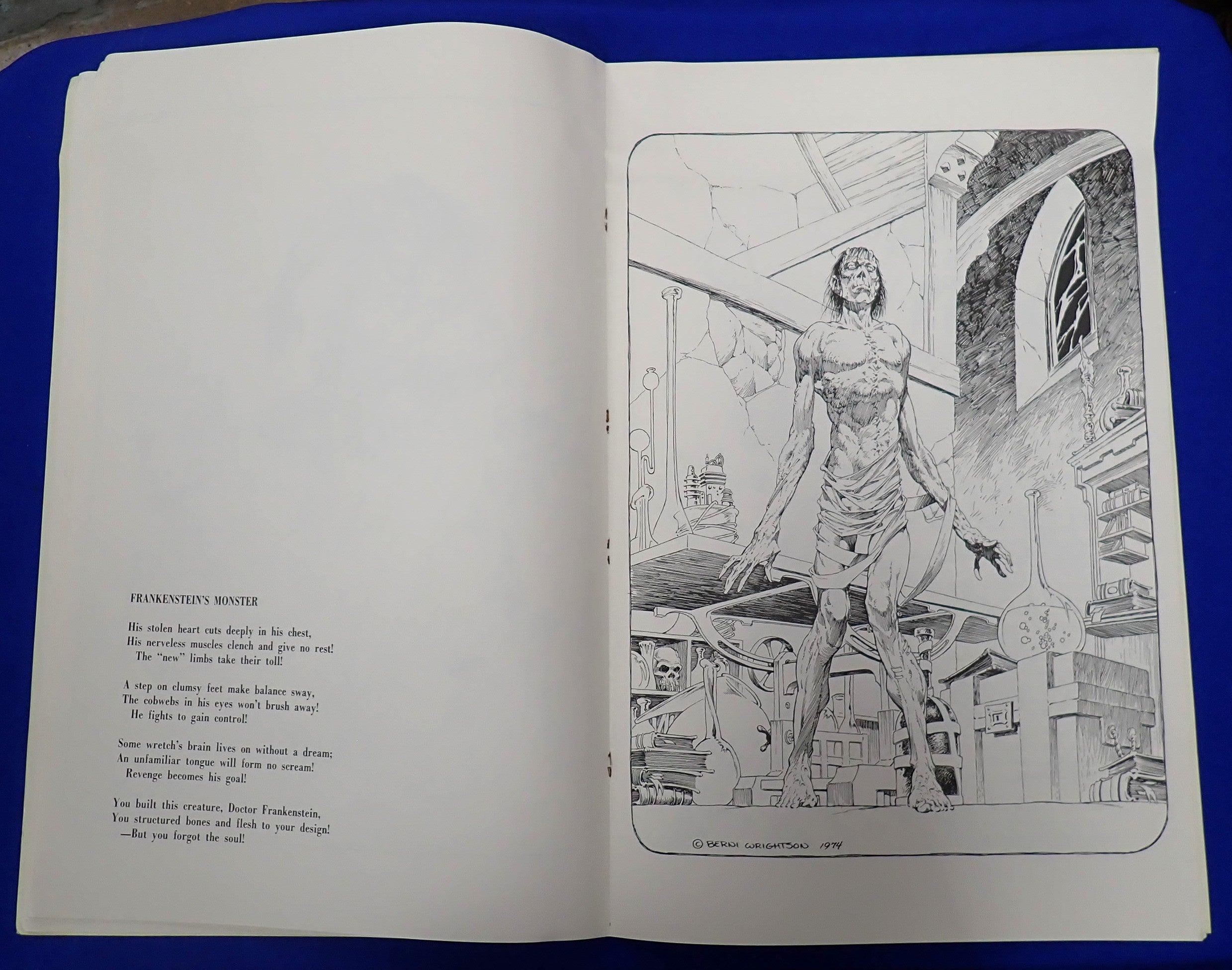 The Monsters Color The Creature Book - Signed by Berni Wrighton