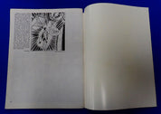 The Steranko History of Comics 1 & 2 (1970/1972) - Art Book
