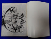 The Steranko History of Comics 1 & 2 (1970/1972) - Art Book