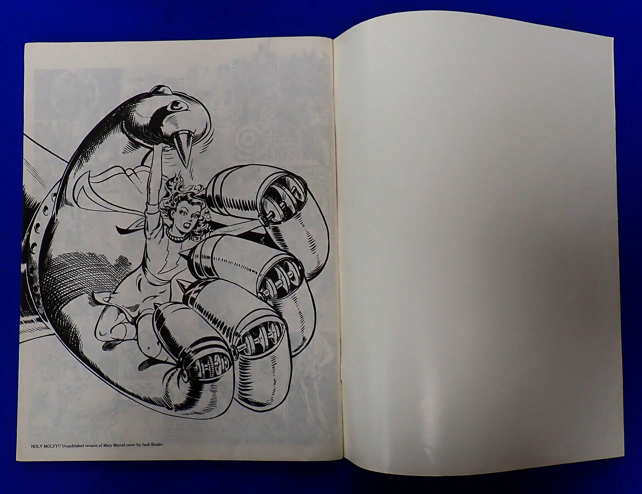 The Steranko History of Comics 1 & 2 (1970/1972) - Art Book