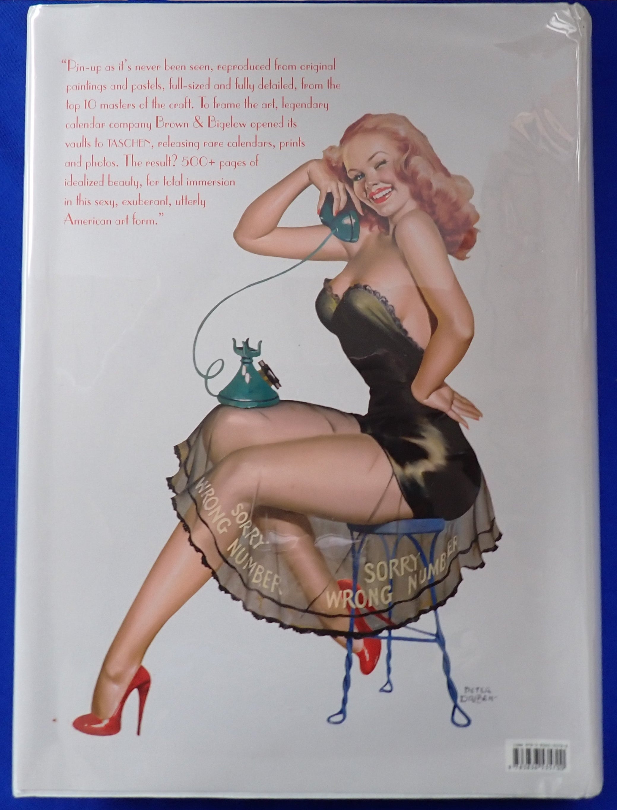 The Art of Pin-Up Hardcover Oversized (Pre-Owned)