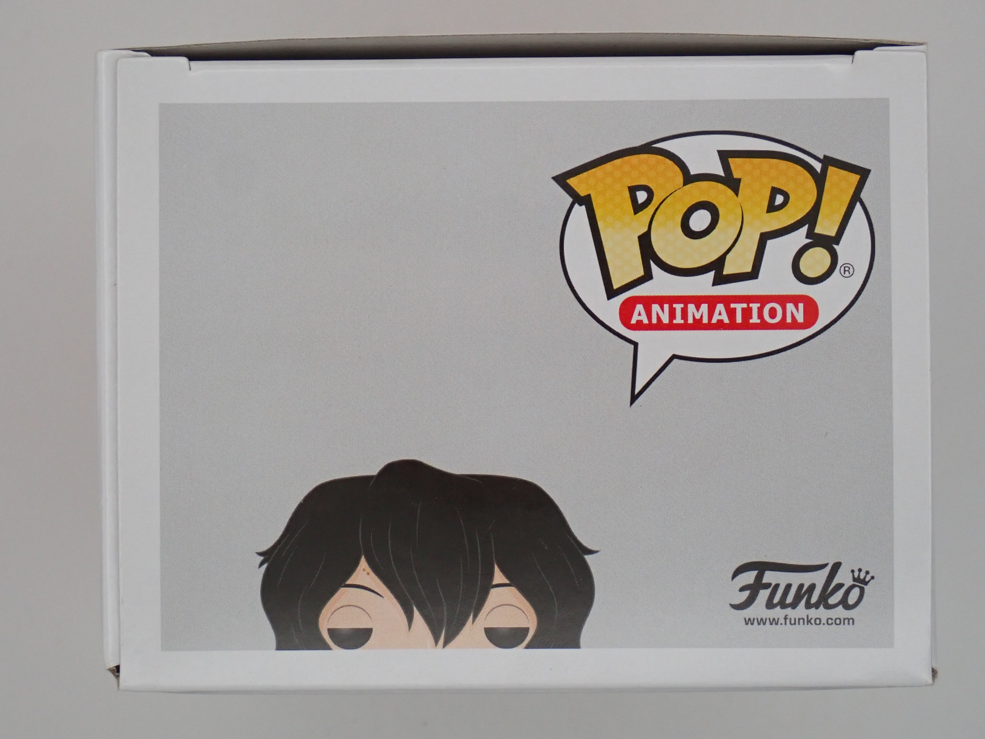 Shota Aizawa - POP! #375
