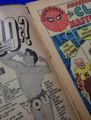 Amazing Spider-Man #22 (1965) - VG- (3.5) - 1st App. Princess Python