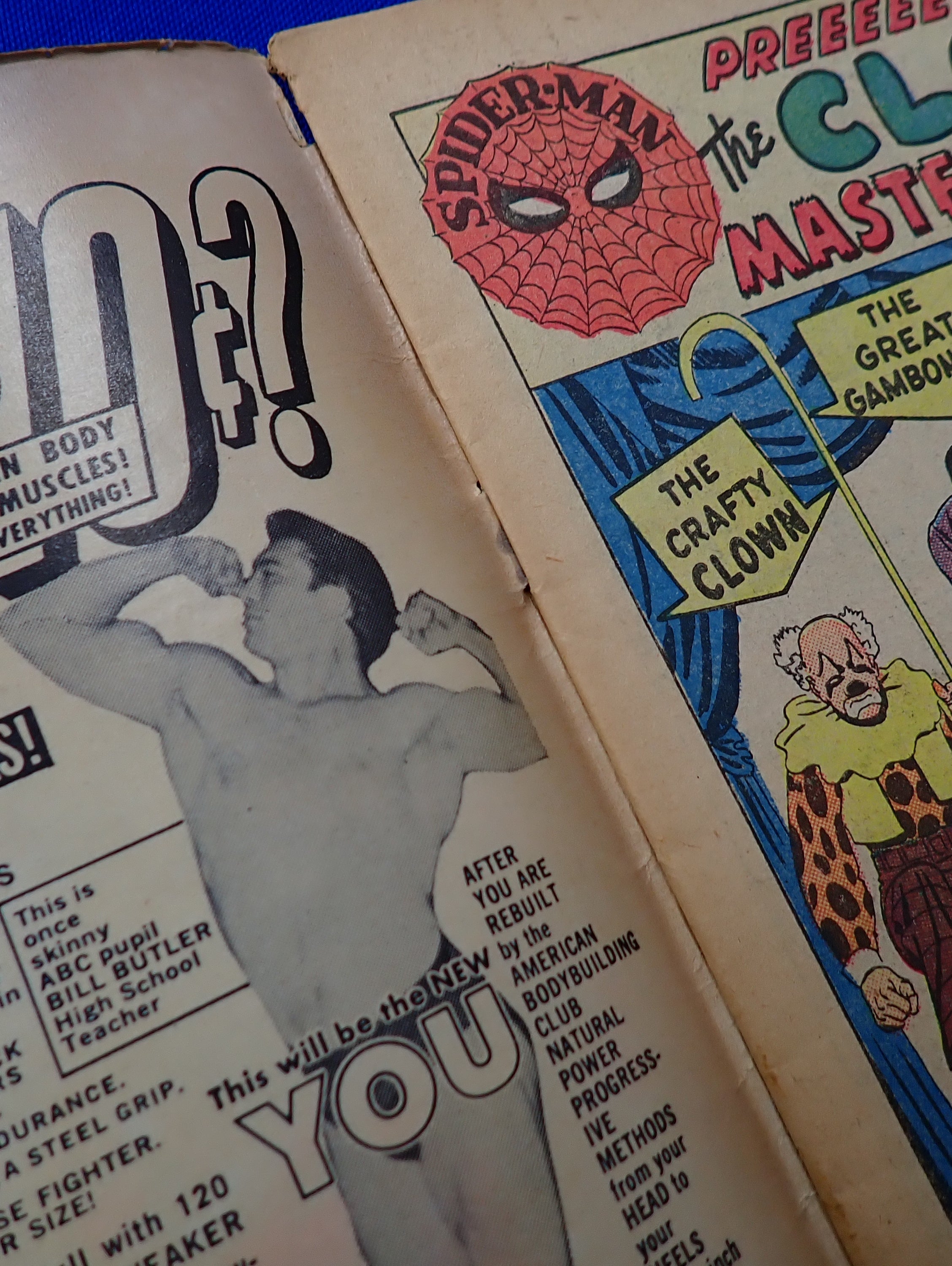 Amazing Spider-Man #22 (1965) - VG- (3.5) - 1st App. Princess Python