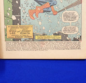Amazing Spider-Man #48 (1967) - FN+/VF- (6.5-7.0) - 1st App of the 2nd Vulture
