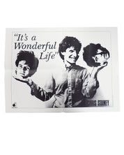 Chris Stamey - It's a Wonderful Life - Vinyl