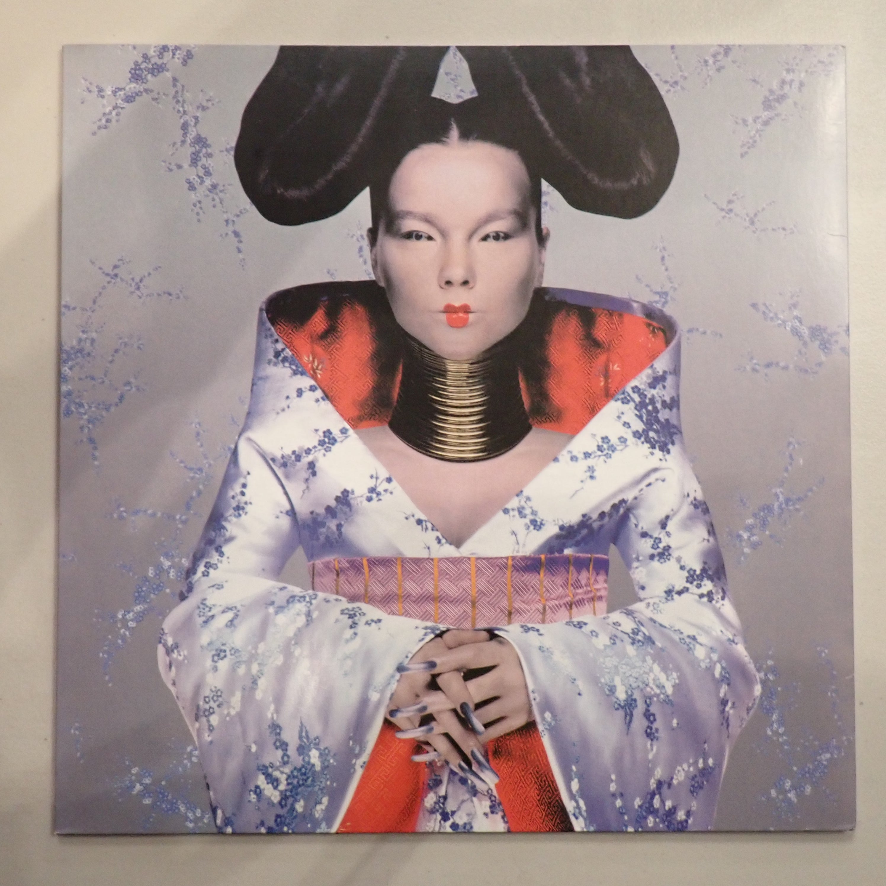 Björk - Homogenic