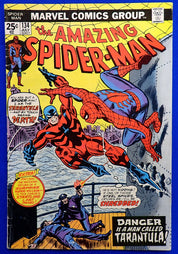 Amazing Spider-Man #134 (1974) - FN (6.0) - 2nd Punisher App.
