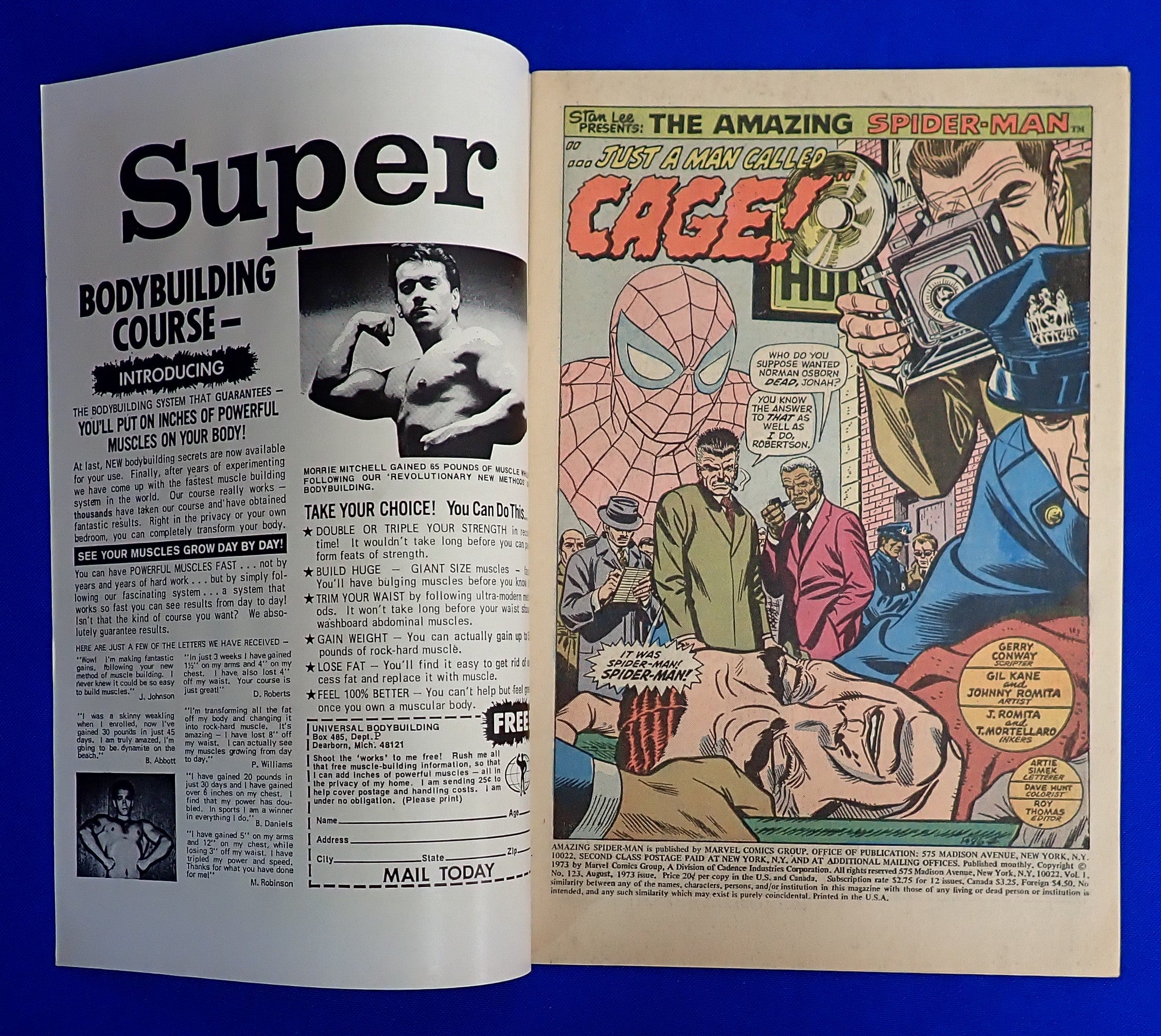 Amazing Spider-Man #123 (1973) - VF+ (8.5) - Gwen Stacy Funeral