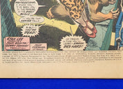 Amazing Spider-Man #111 (1972) - VG/FN (5.5-6.0) - Bronze Age Issue