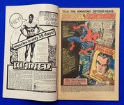Amazing Spider-Man #116 (1972) - VG (4.0) - Bronze Age Issue