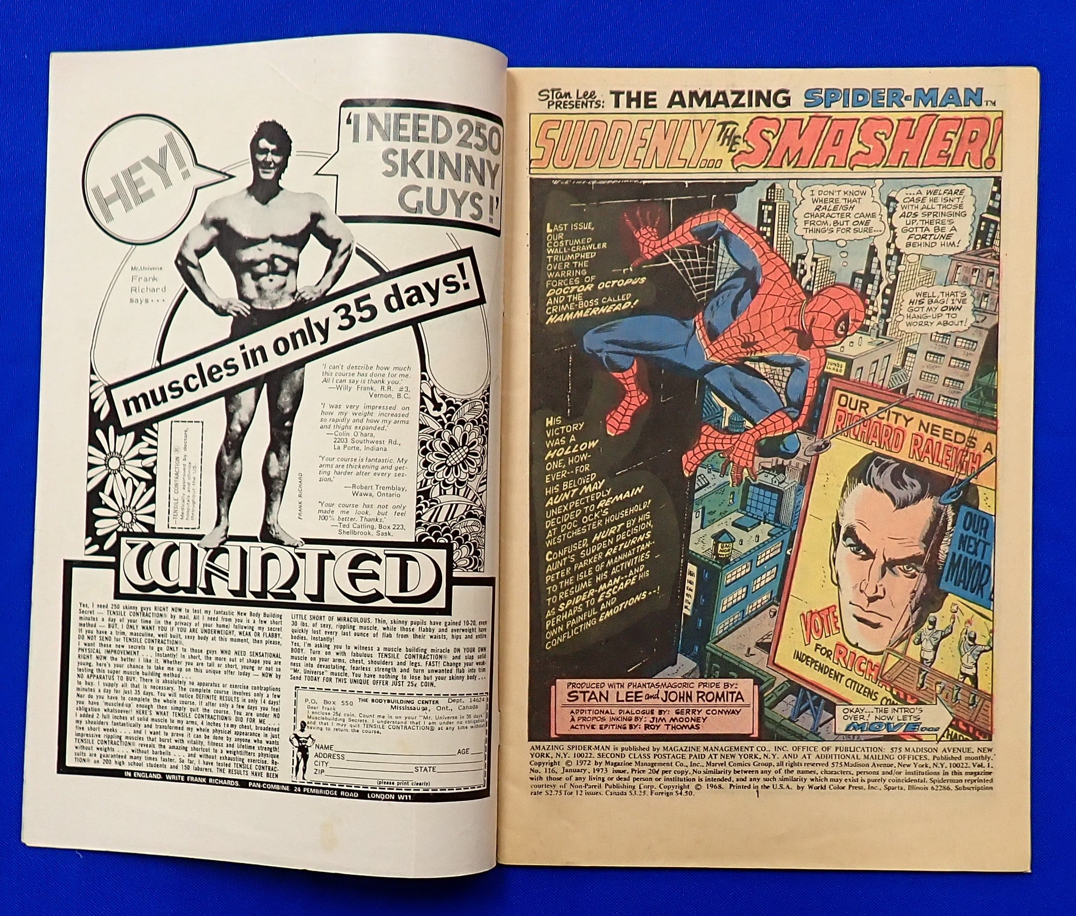 Amazing Spider-Man #116 (1972) - VG (4.0) - Bronze Age Issue