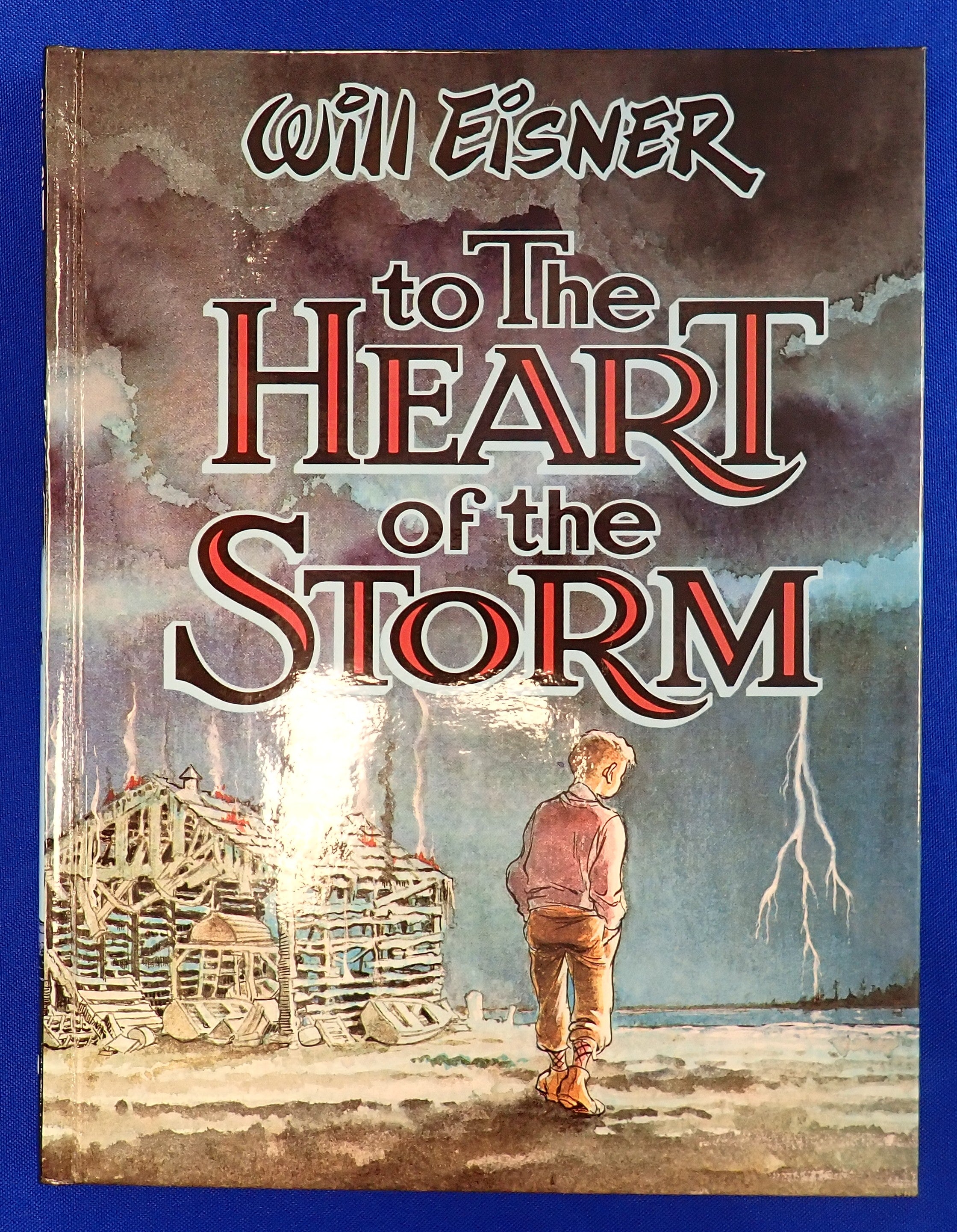 Will Eisner To the Heart of the Storm - Hardcover (Pre-Owned)